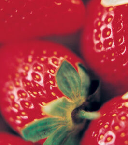 Eat Your Colors Image